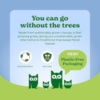 Caboo Tree Free Paper Towels, 6 Rolls, Eco Friendly, Earth Friendly, Sustainable Kitchen Paper Towels with Strong 2 Ply Sheets