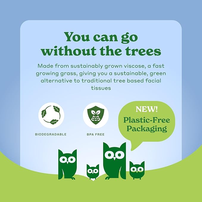 Caboo Tree Free Paper Towels, 6 Rolls, Eco Friendly, Earth Friendly, Sustainable Kitchen Paper Towels with Strong 2 Ply Sheets