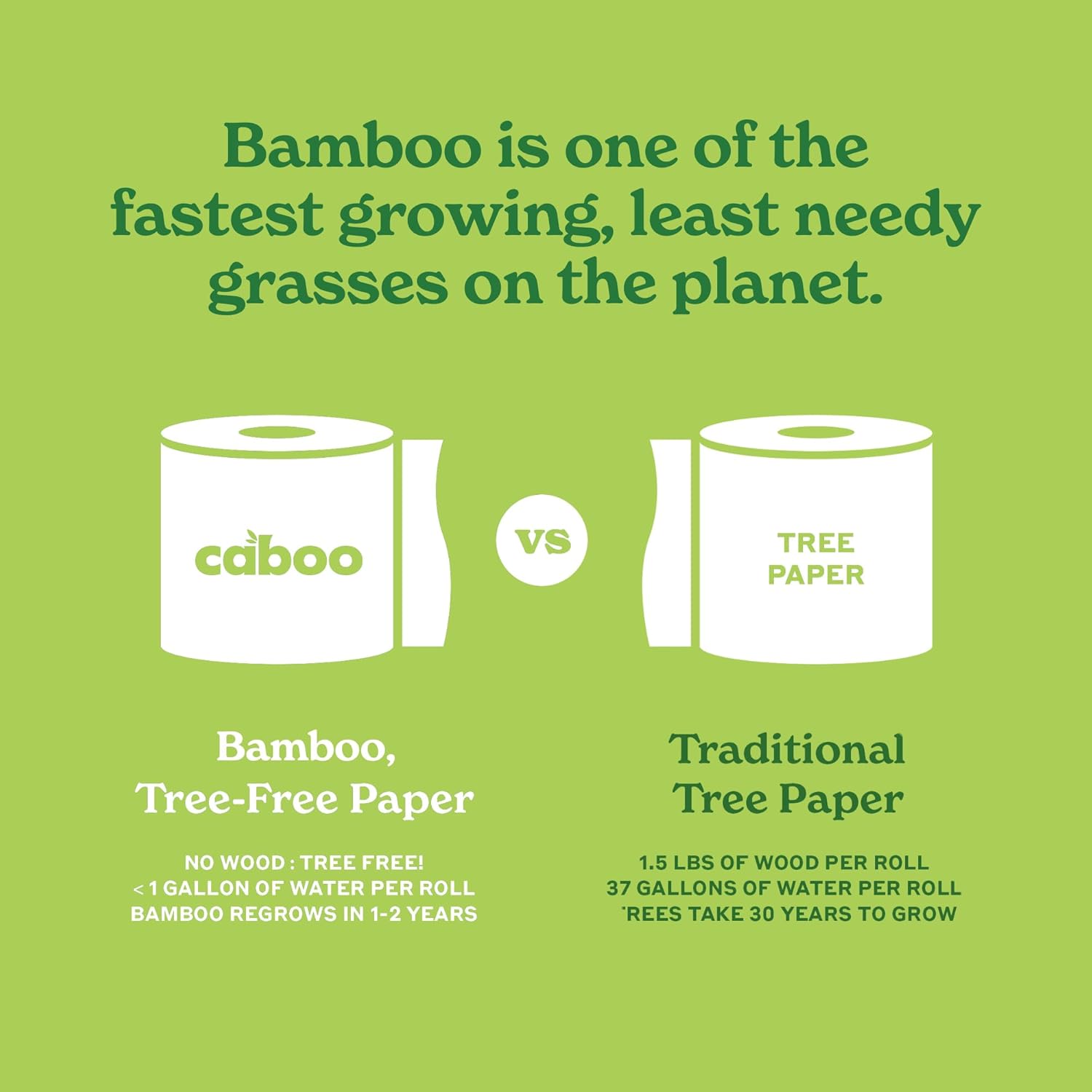 Caboo Tree Free Paper Towels, 6 Rolls, Eco Friendly, Earth Friendly, Sustainable Kitchen Paper Towels with Strong 2 Ply Sheets