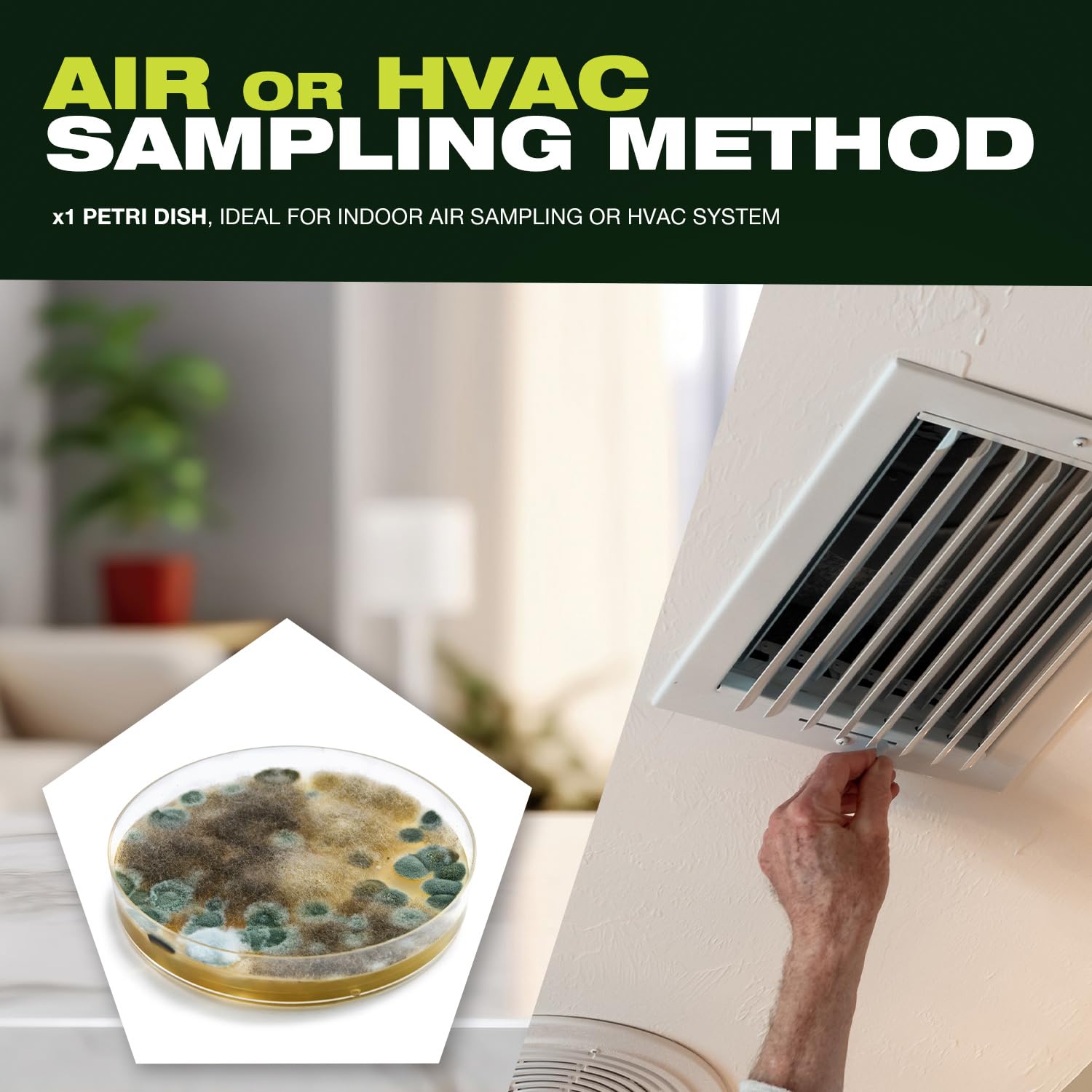 My House Test - DIY Mold Test Kit for Home - Quick 48-Hour Visible Results, Air & Surface Analysis, Mold Testing Kit - Optional Lab Analysis