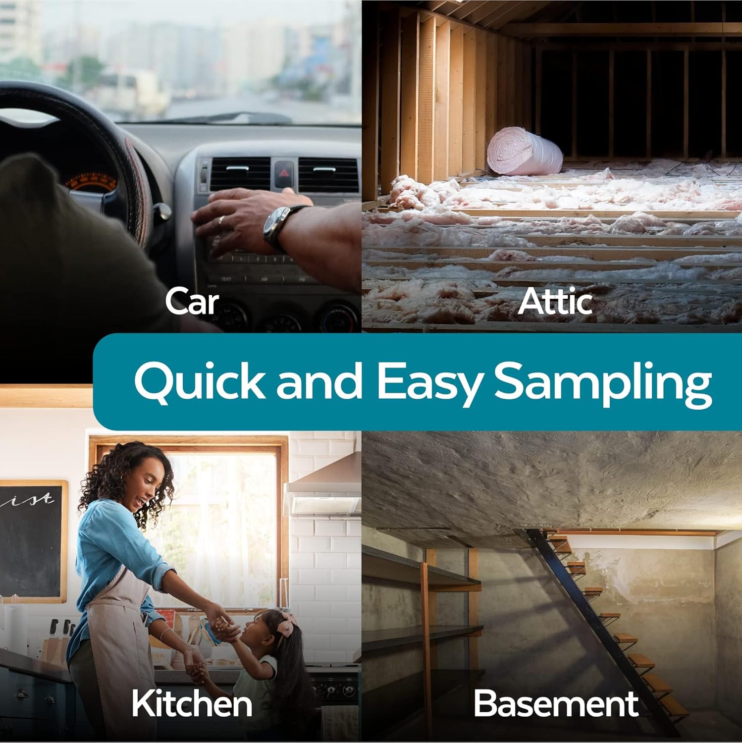 Mold Test Kit for Home - 6 Simple DIY Mold Detection Tests - Safely and Easily Test Surface Mold, Air Quality and HVAC - Detailed Mold Identification Guide - Expert Consultation