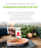 Food Safety Detector Portable New In Food Nitrate Tester Fruits And Vegetables Meat Radiation Nitrate Detection Health Care