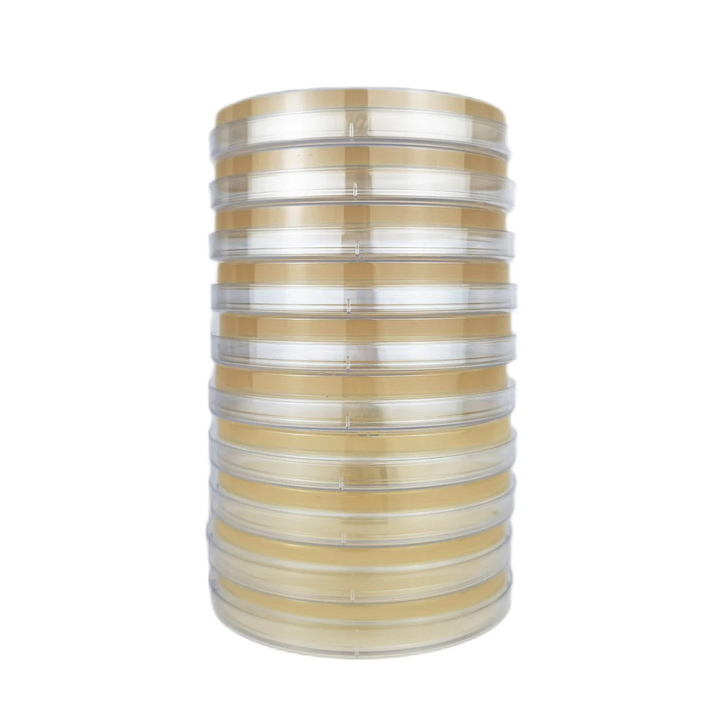 For Mold Testing Kit Home DIY For Mold Testing HVAC System Kit Detector For MOLD Testing Kit Test Measurement Inspection