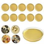 For Mold Testing Kit Home DIY For Mold Testing HVAC System Kit Detector For MOLD Testing Kit Test Measurement Inspection