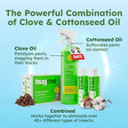 BugMD Ant Killer & Bug Spray